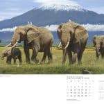 'CALL OF THE WILD' 2026 CalendAR