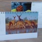 Call Of The Wild & Art desk calendars 2027